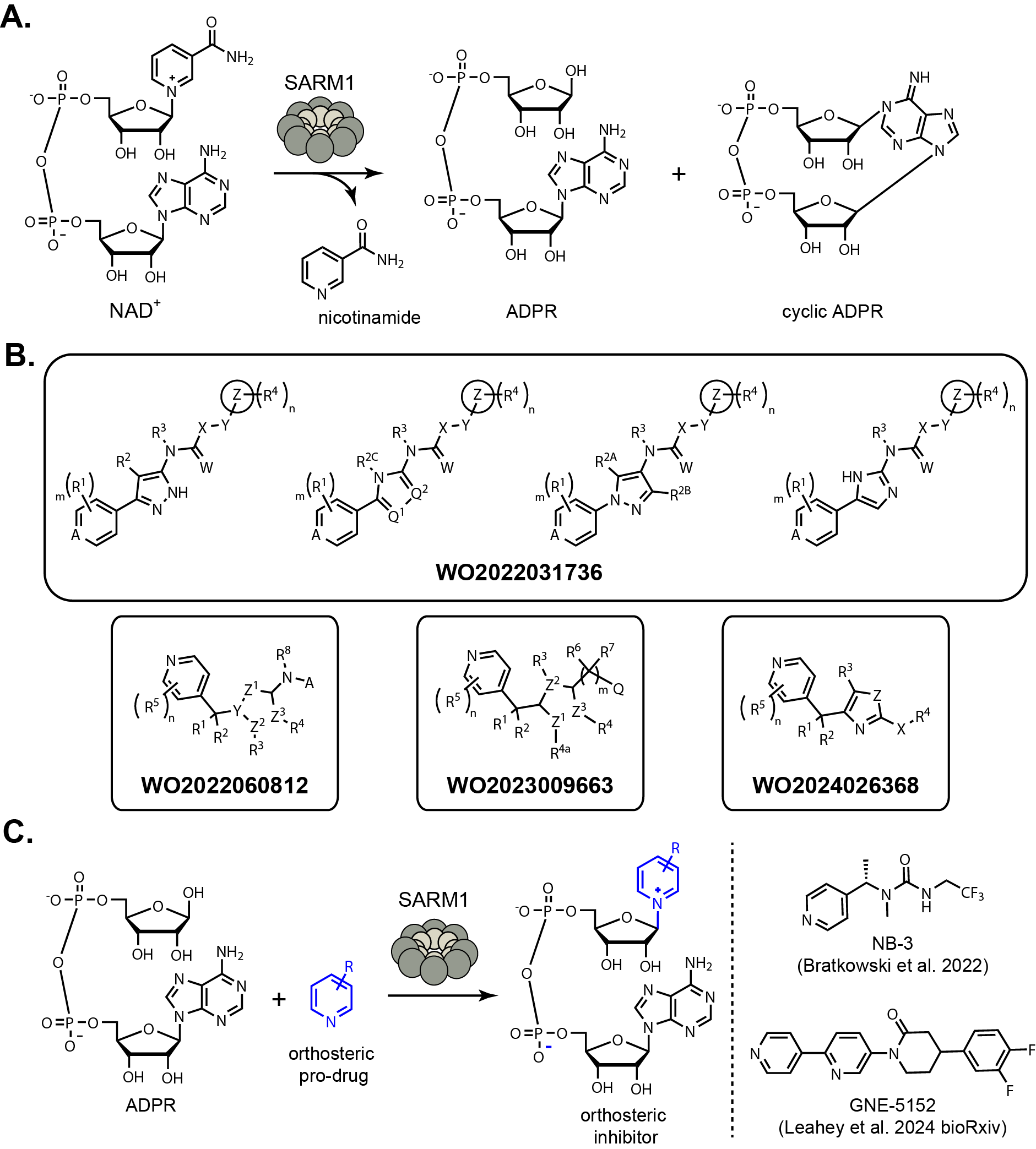Enlarged Image
